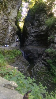 blog-watkins-glen